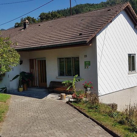 Les Noyers Du Wissbach Villa Willer-sur-Thur Eksteriør bilde