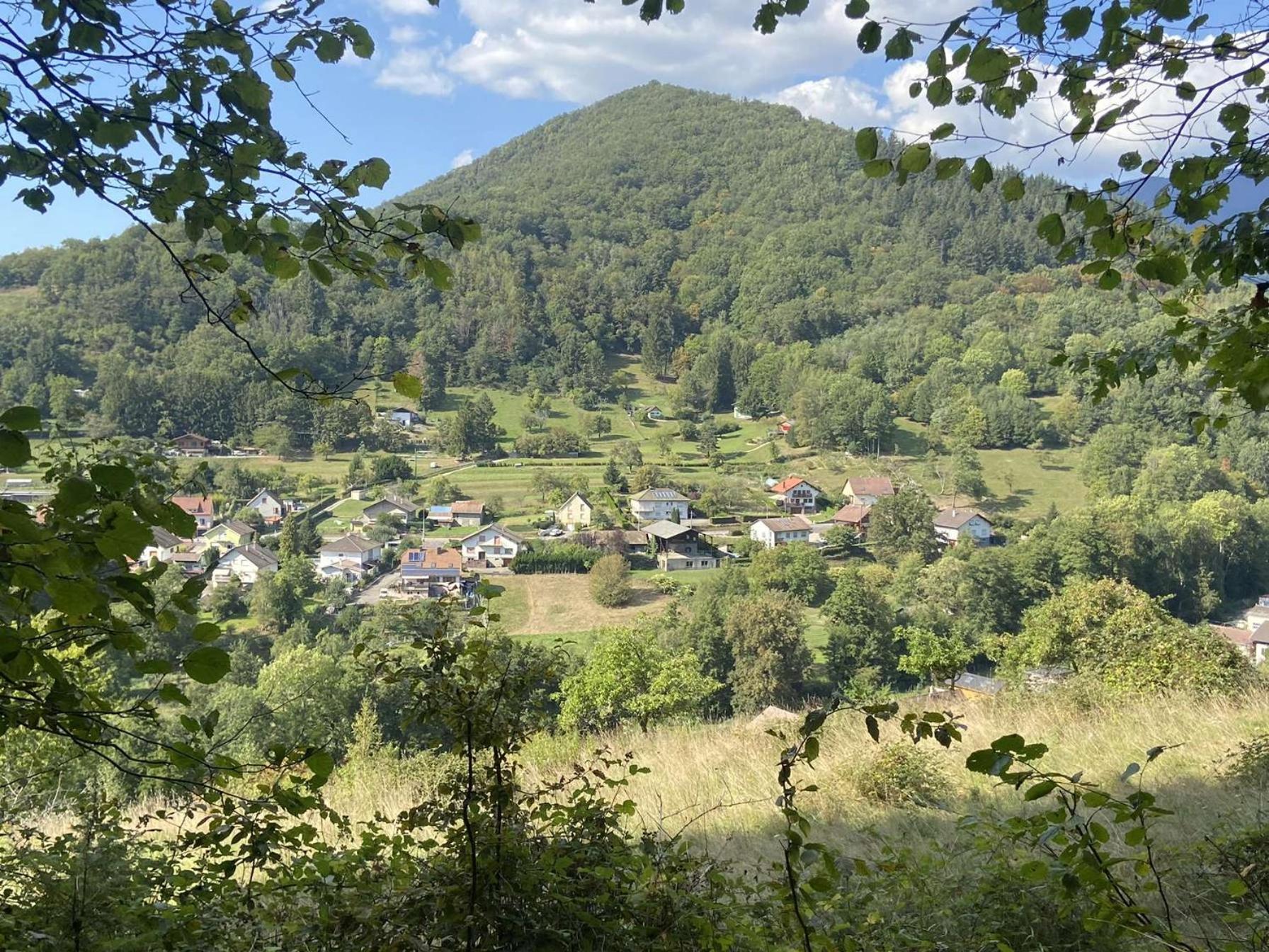 Les Noyers Du Wissbach Villa Willer-sur-Thur Eksteriør bilde