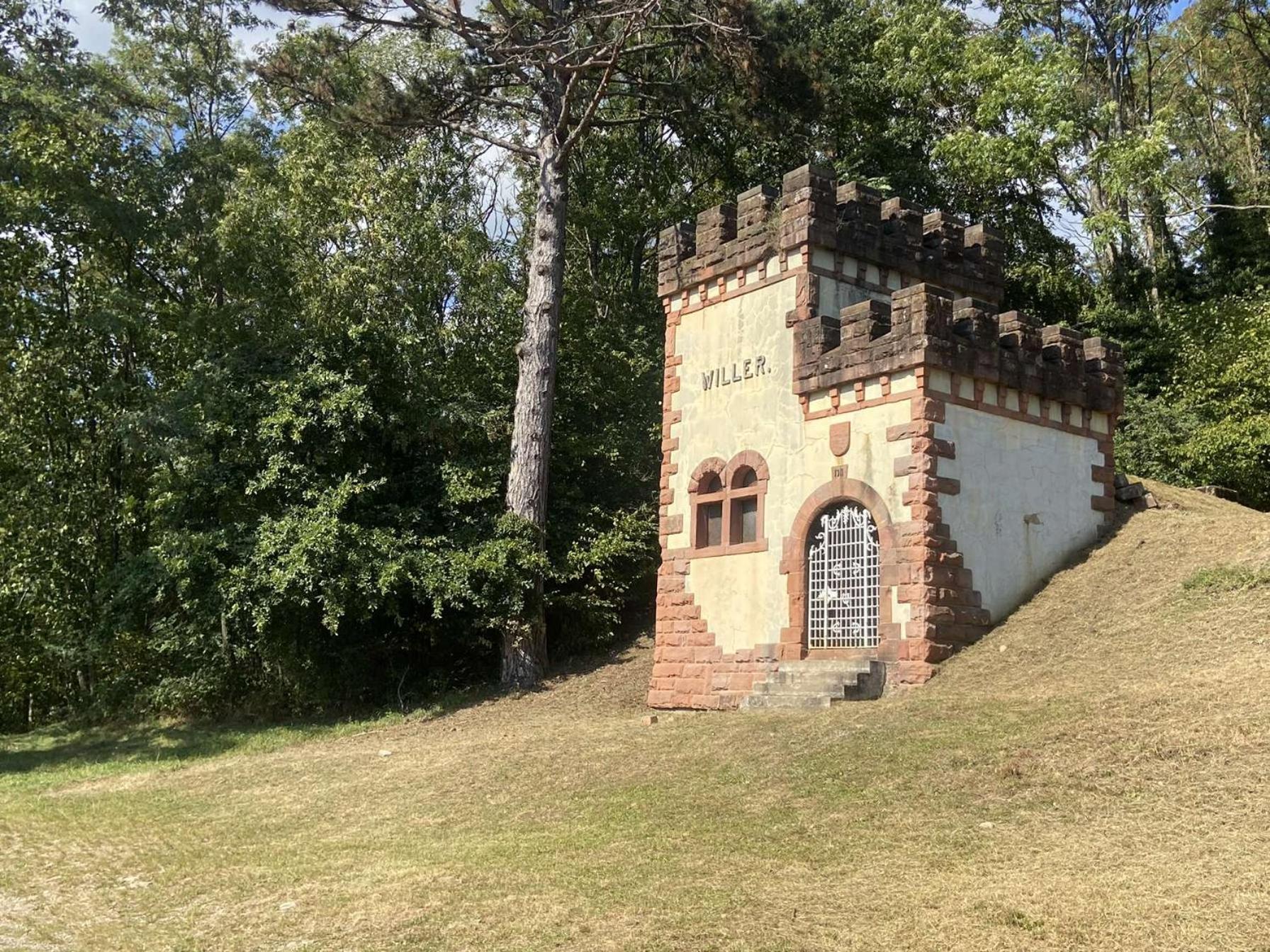 Les Noyers Du Wissbach Villa Willer-sur-Thur Eksteriør bilde